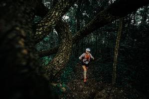 BIB: 
                            <button type="button" onclick="openModal(25699731)" class="btn btn-primary btn-sm float-right btn-popup" data-toggle="modal" data-target=".modal-high-quality">
                        <i class="fas fa-shopping-cart"></i> Add to Cart
                    </button>
                                            <button type="button" onclick="isThisMe(25699731, true)" class="btn btn-success btn-sm float-right btn-popup btn-isme hidden" data-toggle="tooltip" data-placement="bottom" title="นี่คือรูปของคุณใช่ไหม คลิกที่นี่เพื่อเอาเข้าอัลบั้ม">
                        <i class="fas fa-plus"></i> Add to album
                    </button>
                    <button type="button" onclick="isThisMe(25699731, false)" class="btn btn-warning btn-sm float-right btn-popup btn-isnotme hidden">
                        <i class="fas fa-ban"></i> Remove from album
                    </button>